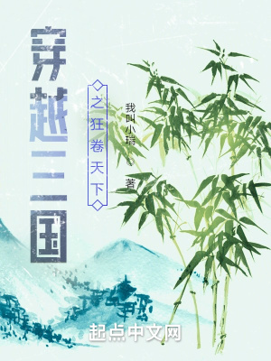 穿越三国平民争天下的小说