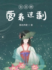 女主营养师的小说