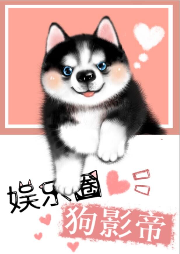 娱乐圈犬影帝讲什么