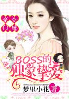 豪门夺婚:boss的独家挚爱小说