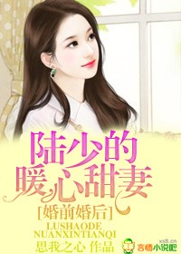 婚前婚后,陆少的暖心甜妻